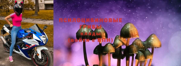 хмурый Алексеевка