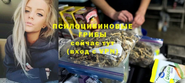 гидра Алзамай